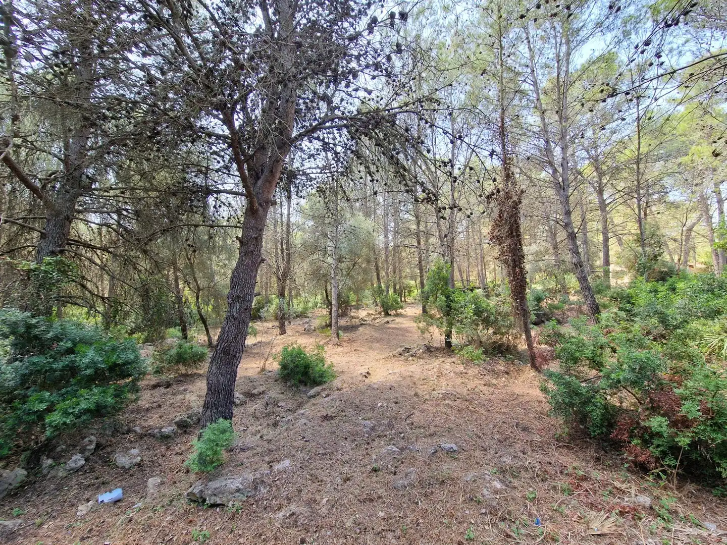 Detached house for sale in Vilallonga / Villalonga, imagen 33