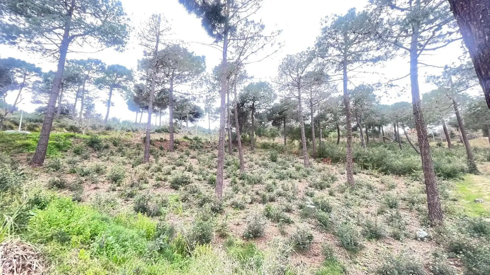 Terreno en venta en Jardins de Sant Pol, imatge 3