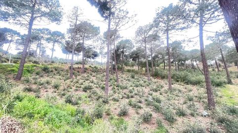 Terreno en venta en Jardins de Sant Pol, imatge 3