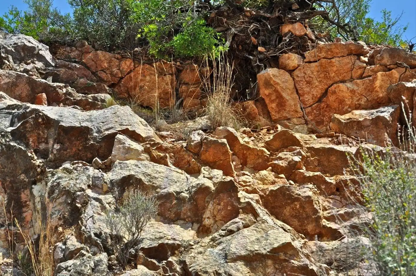 Land for sale in Camí del Barranc de la Llet, 26, Sant Llàtzer
