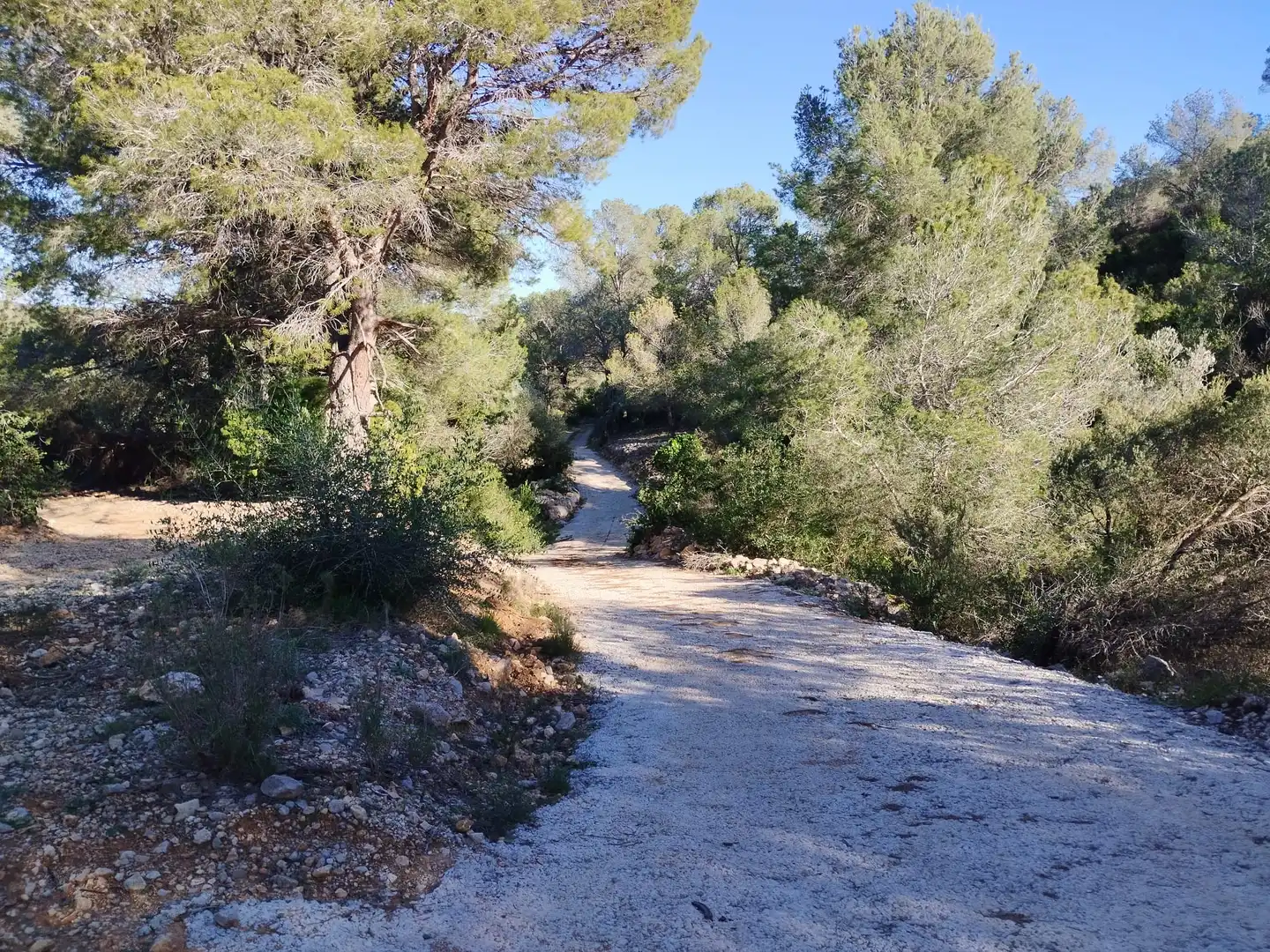 Terreno rustico in vendita a Carrer Camí del Llop 46, imagen 3