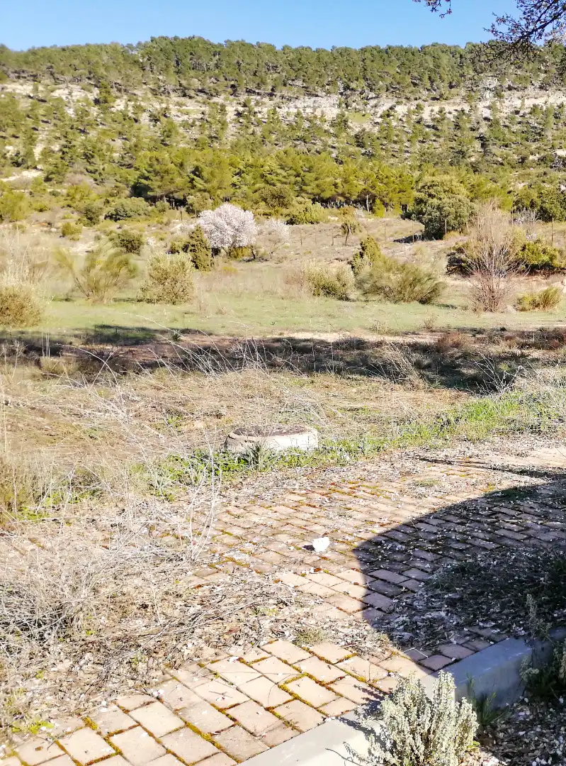 Terreno en venta en Albalate de Zorita
