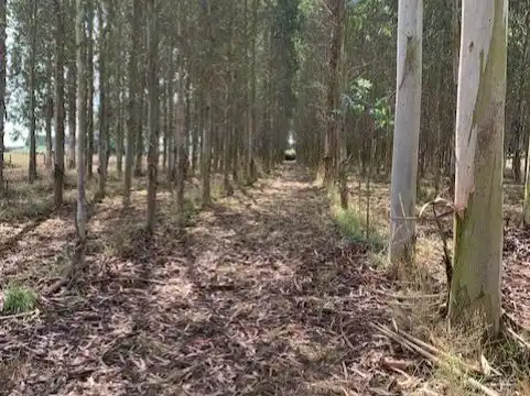 Terreno en venta en Outeiro de Rei