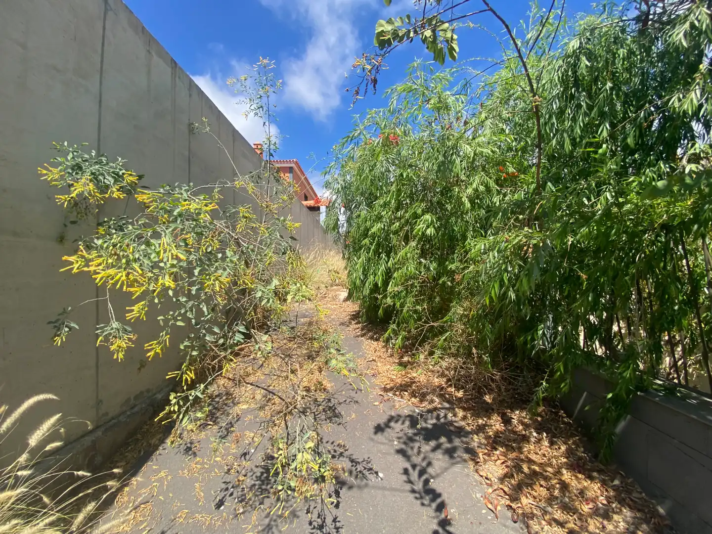 Terreno en venta en Candelaria