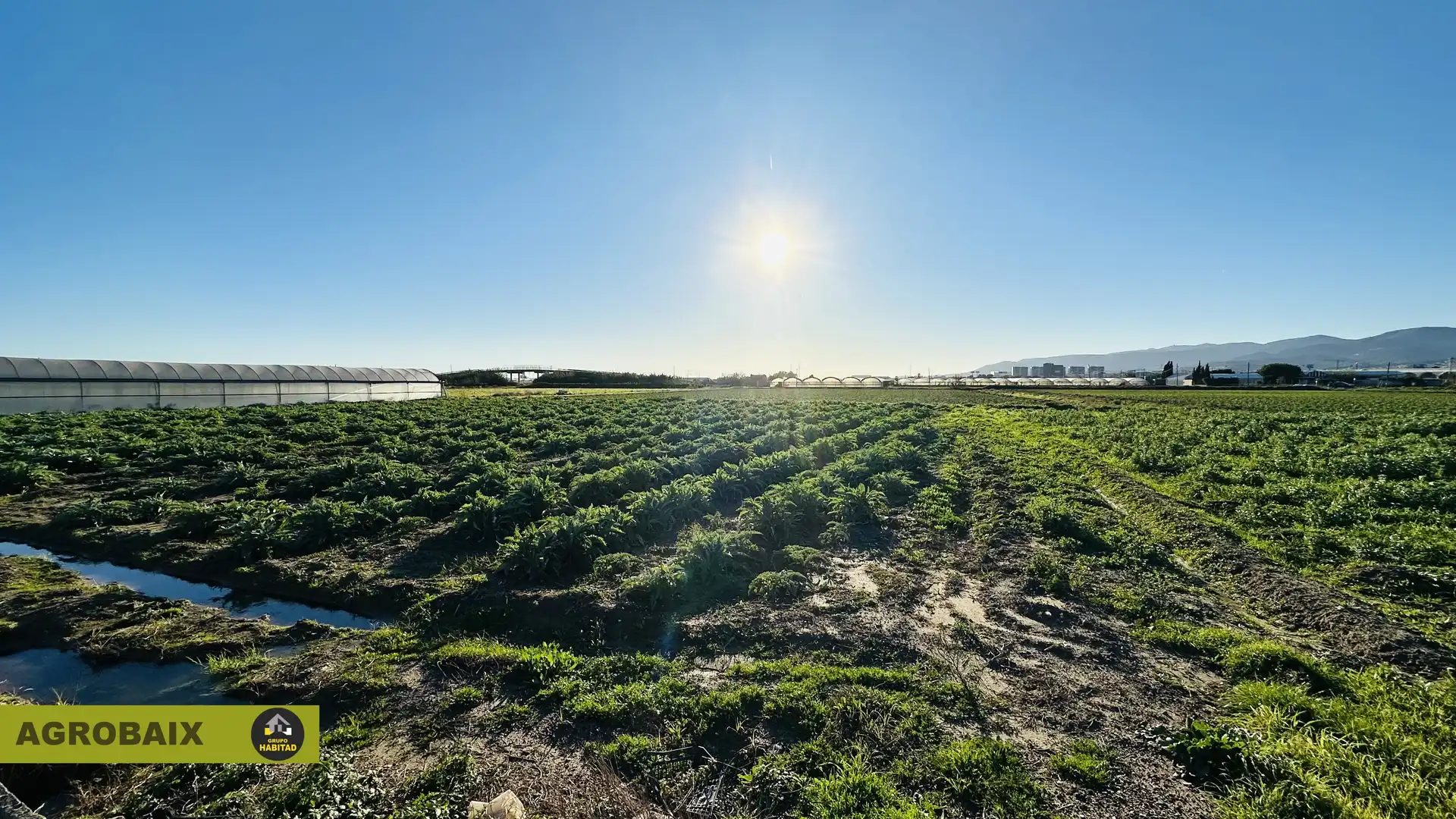 Land for sale in Sant Boi de Llobregat