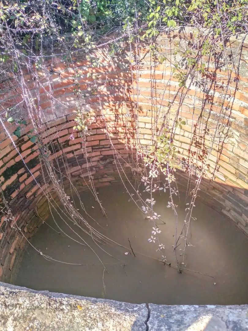 Jardí de Finca rústica en venda en Villablanca