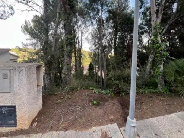 Terreny residencial en venda a El Bosque, imagen 3