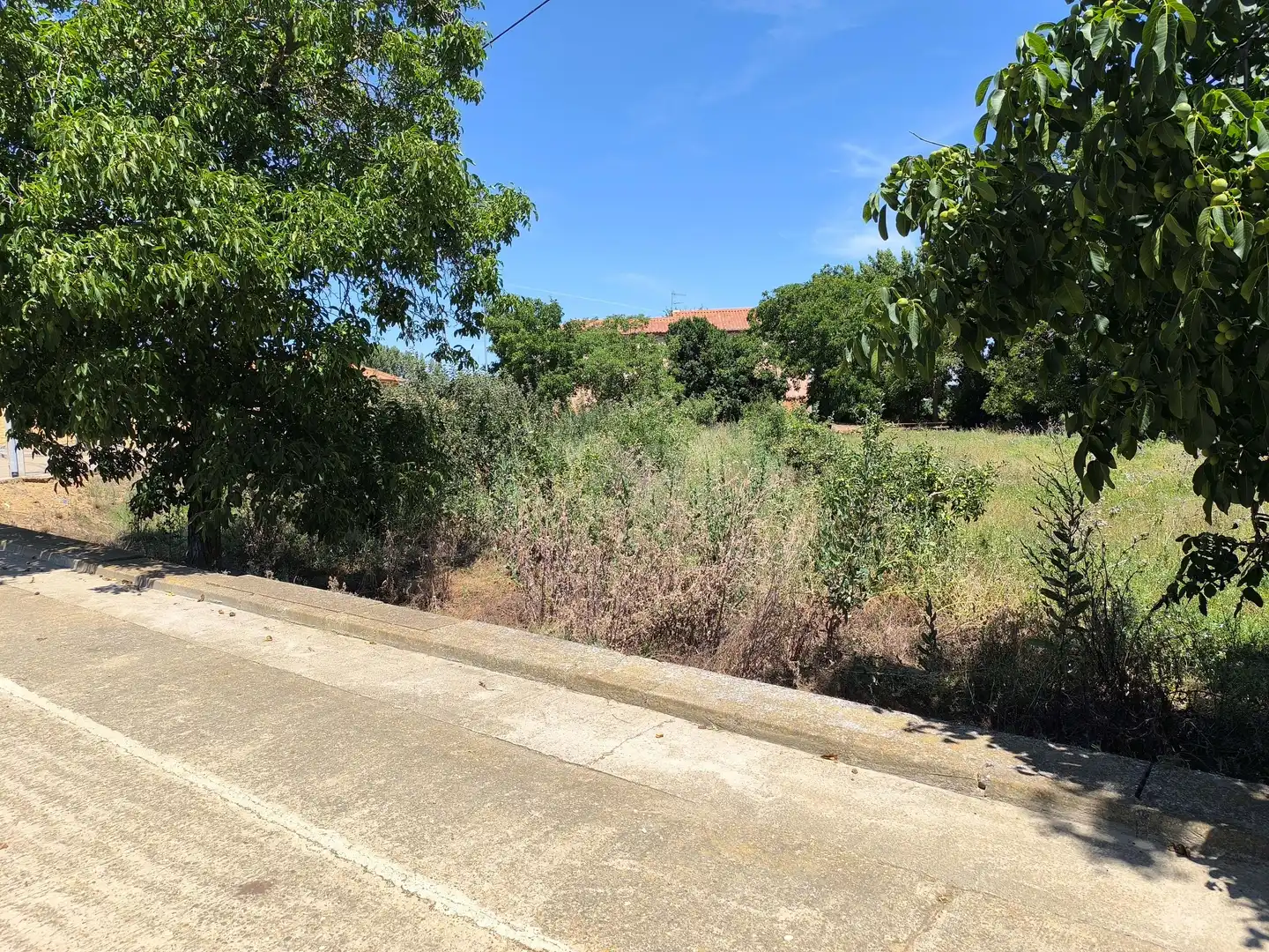 Residencial en venta en San Millán de los Caballeros