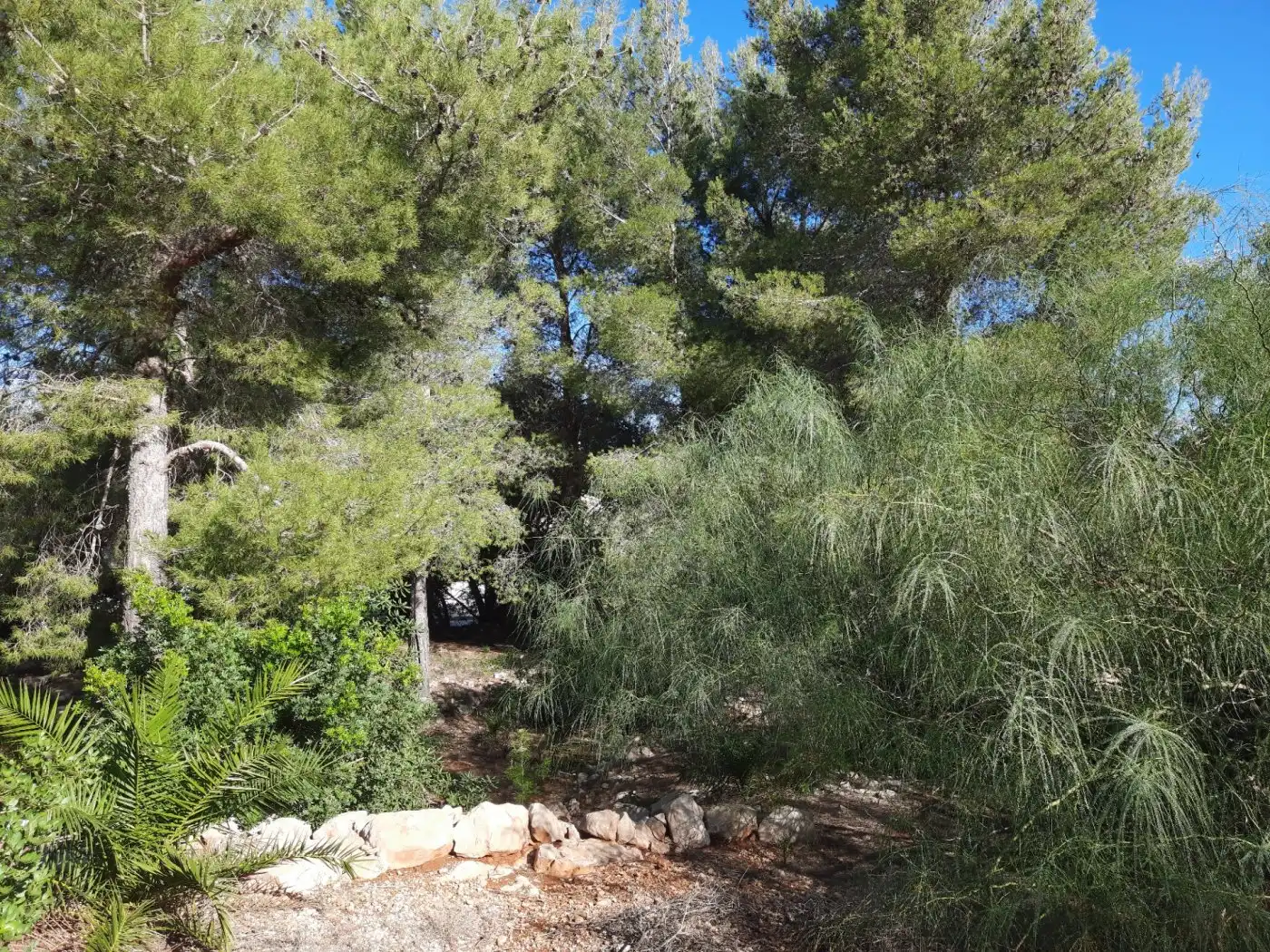 Grundstücke und Bauplätze zum Verkauf in El Montgó, imagen 19