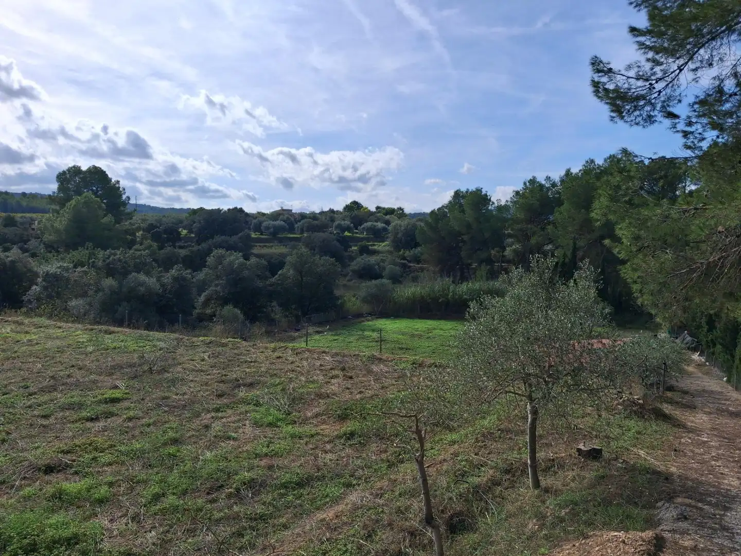 Terrain rustique à vendre à Ginestar, imagen 37