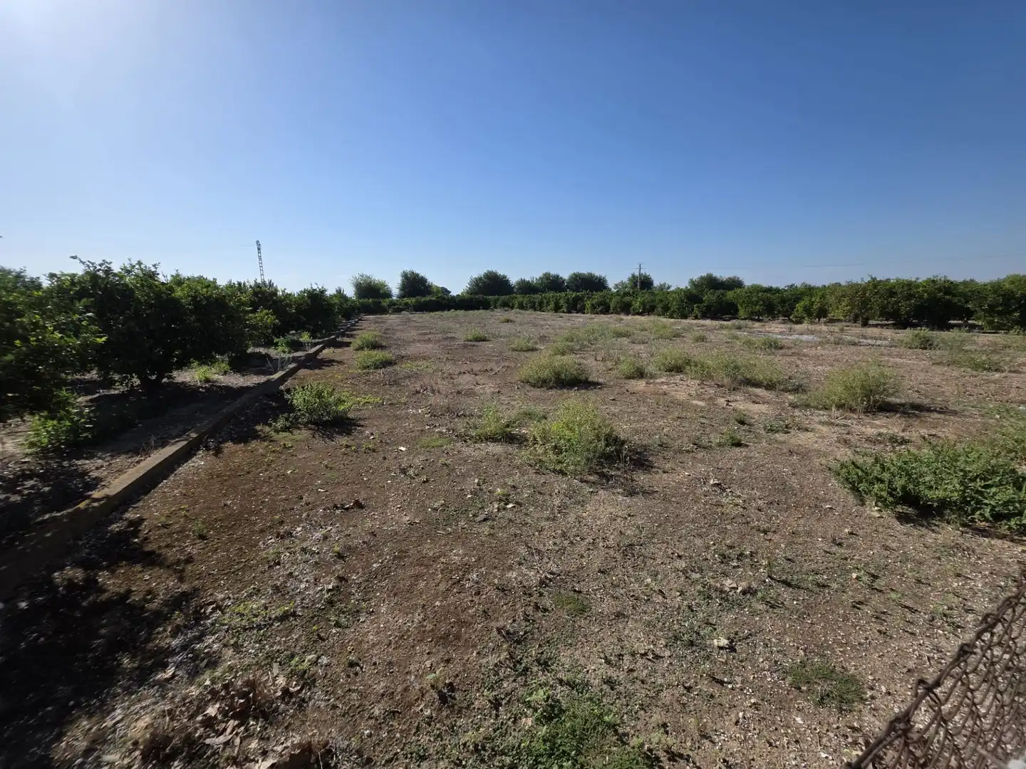 Terrain rustique à vendre à Albalat de la Ribera, imagen 18