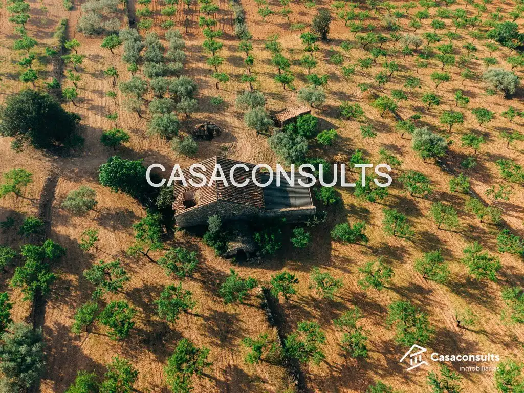 Casa rustica con giardino in vendita a Useras /  Les Useres, imagen 6
