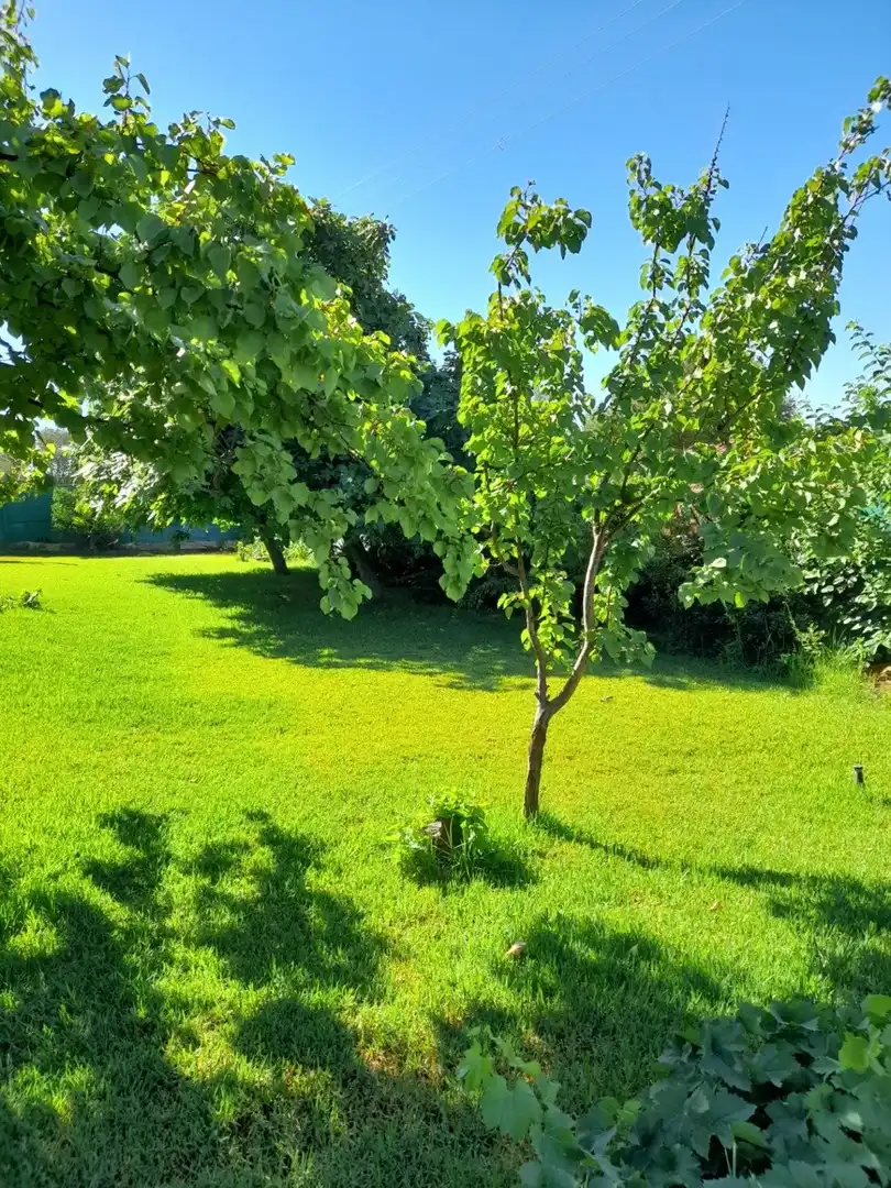 Jardín de Casa o chalet en venta en Cáceres con Jardín privado, Terraza y Trastero