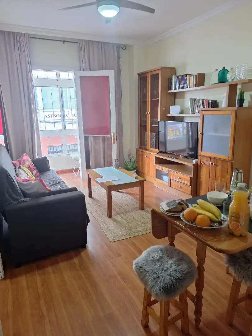 Living room of Apartments for rent in Las Palmas de Gran Canaria  with Parquet flooring, Furnished and Washing machine