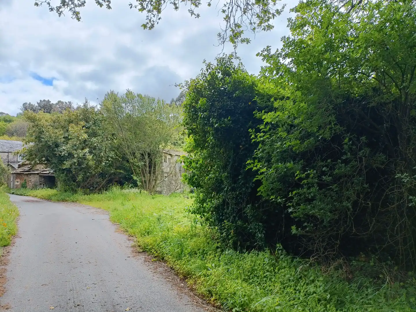 Casa o xalet en venda en Aranga amb Jardí privat i Traster