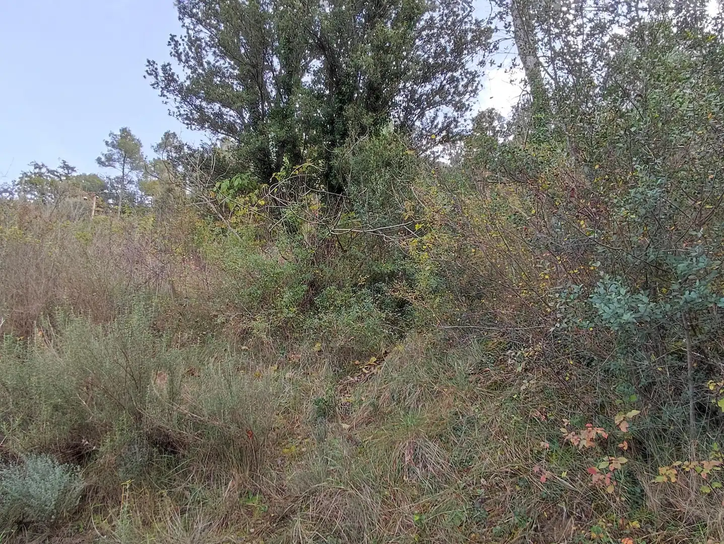 Terrain rustique à vendre à Monistrol de Calders, imagen 36