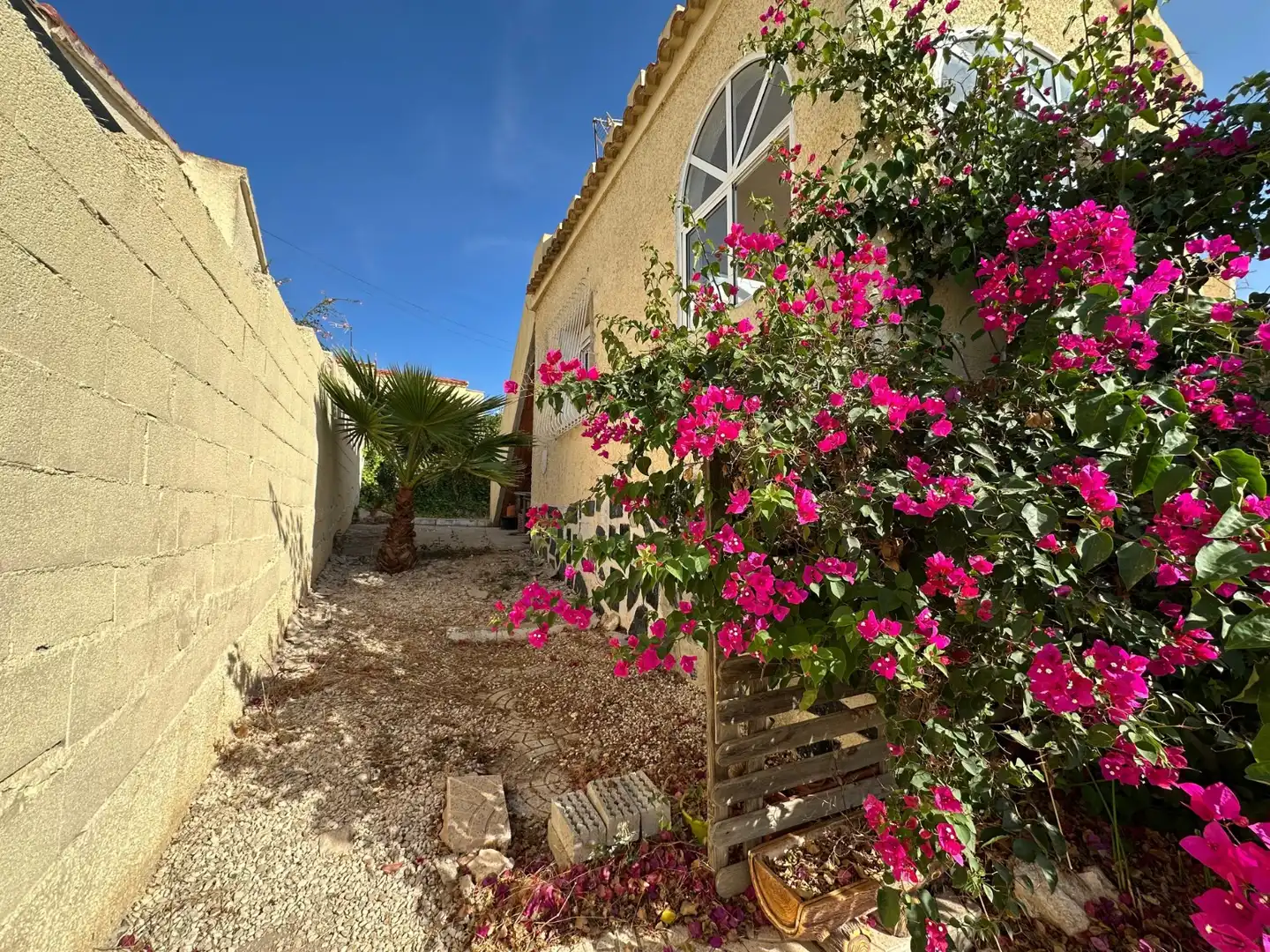 Vista exterior de Casa o chalet en venta en San Fulgencio con Jardín privado, Terraza y Horno