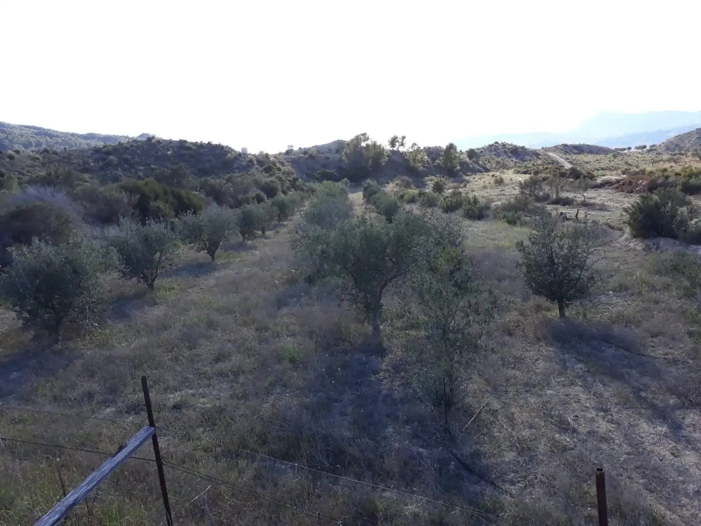 Country homes for sale in Abanilla