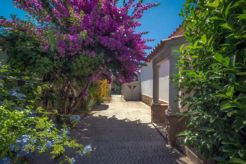 Chalet en venta en Cap Ras - Creus - Falconera, imagen 36