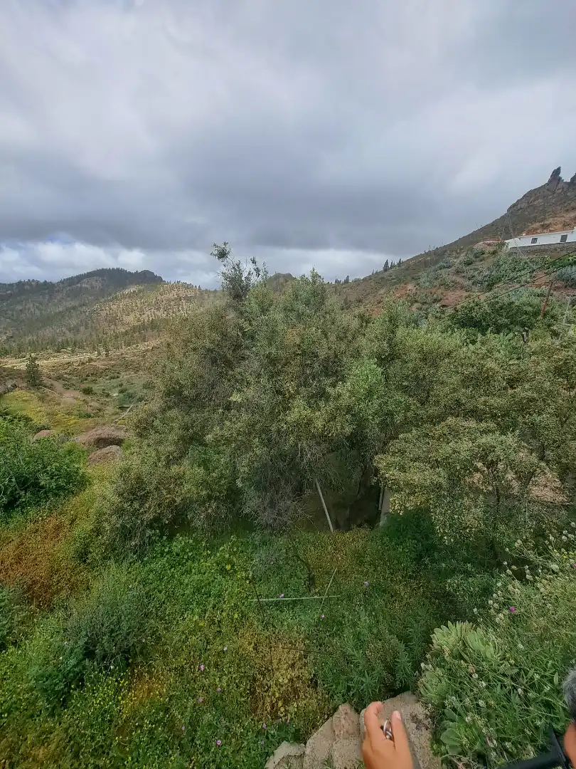 Casa o chalet en venta en San Bartolomé de Tirajana con Jardín privado, Terraza y Trastero