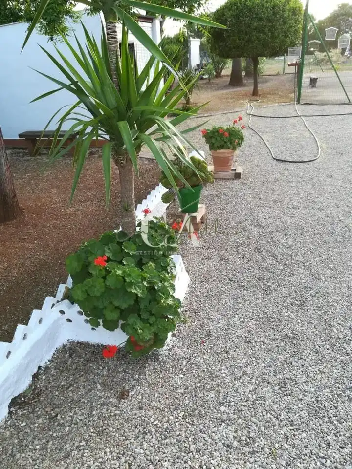 Casa amb jardí en venda a La Mina, imagen 16