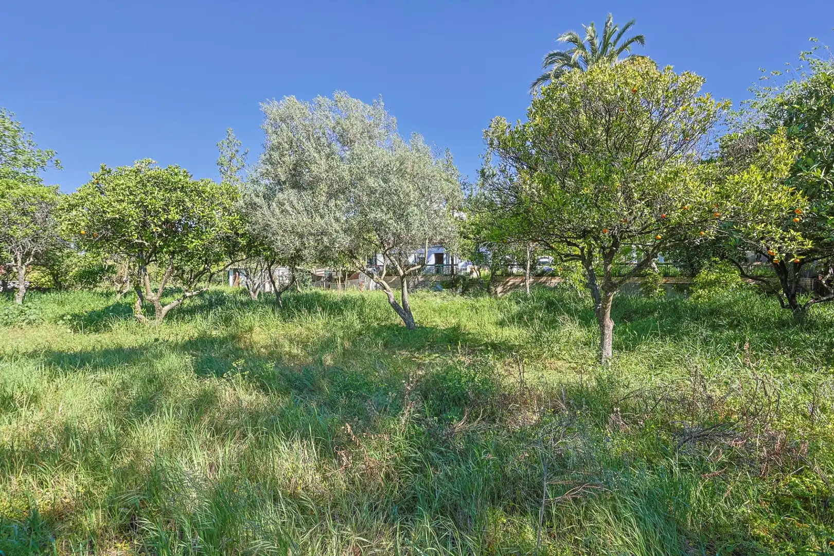 Casa o xalet en venda en Sanlúcar la Mayor amb Aire condicionat i Piscina