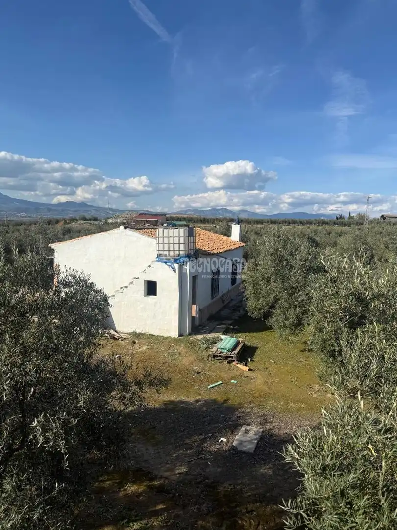 Finca rústica en venta en Chauchina