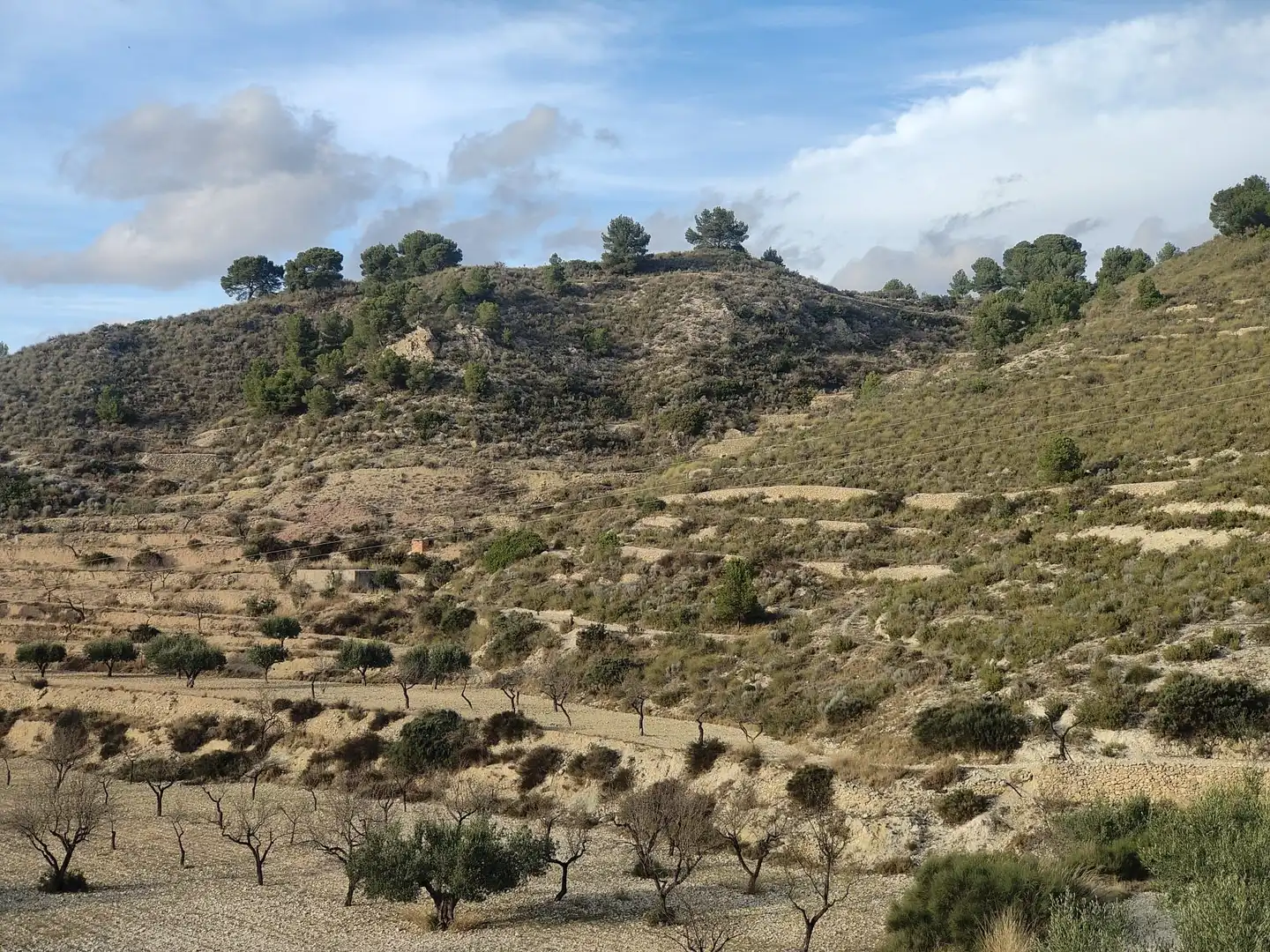 Residential land for sale in Tibi, imagen 2