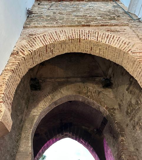 Foto 2 de Terreny industrial en venda a Polígono Industrial la Vega, 12, Tarifa ciudad, Tarifa