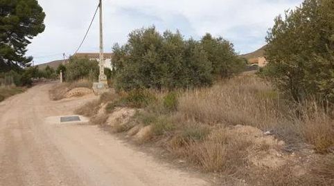 Solar urbano de 503 m2 con 2.510 m2 de olivar en Tobarra, immagine 5