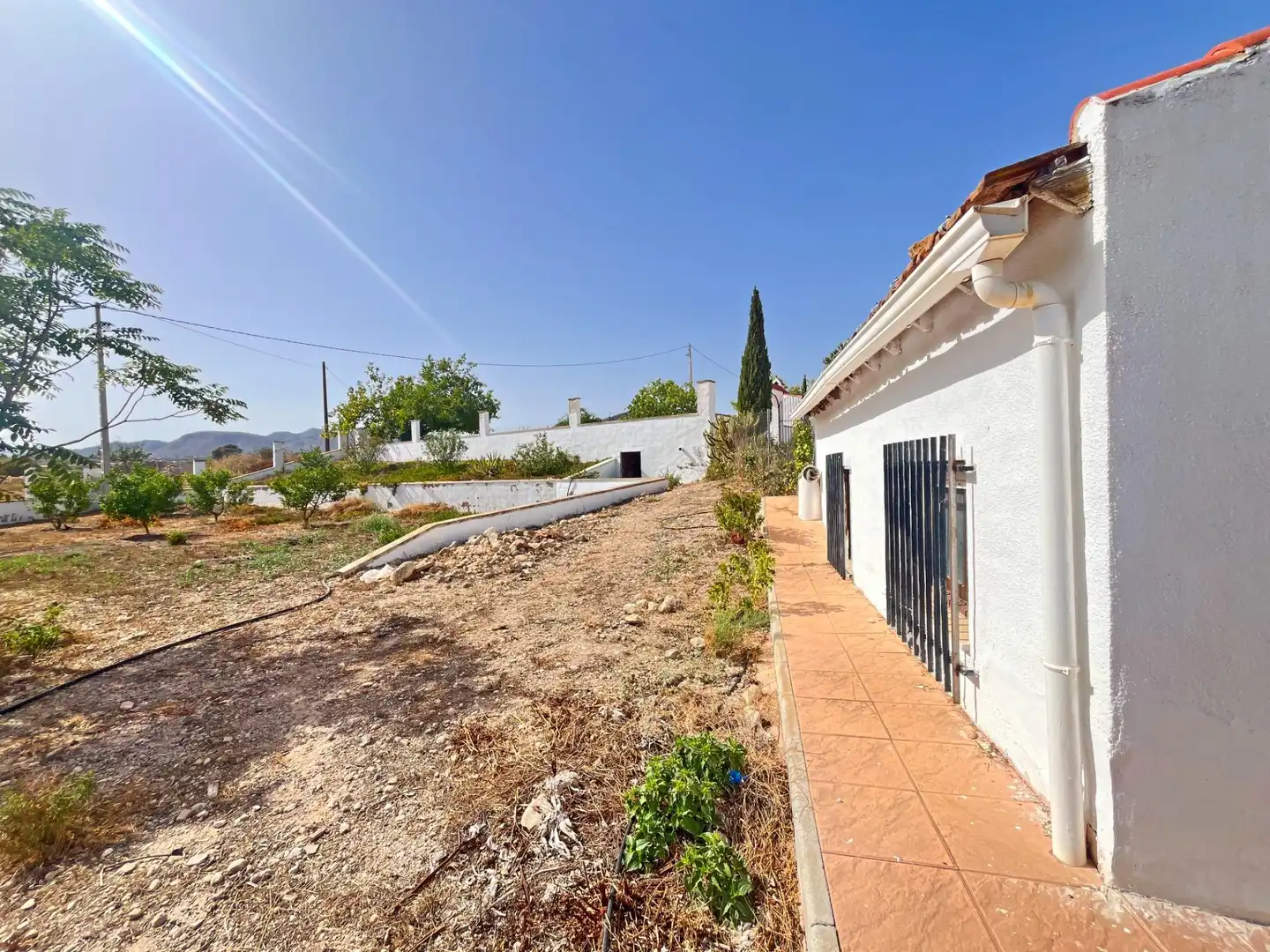 Vista exterior de Finca rústica en venta en Novelda con Aire acondicionado, Calefacción y Jardín privado