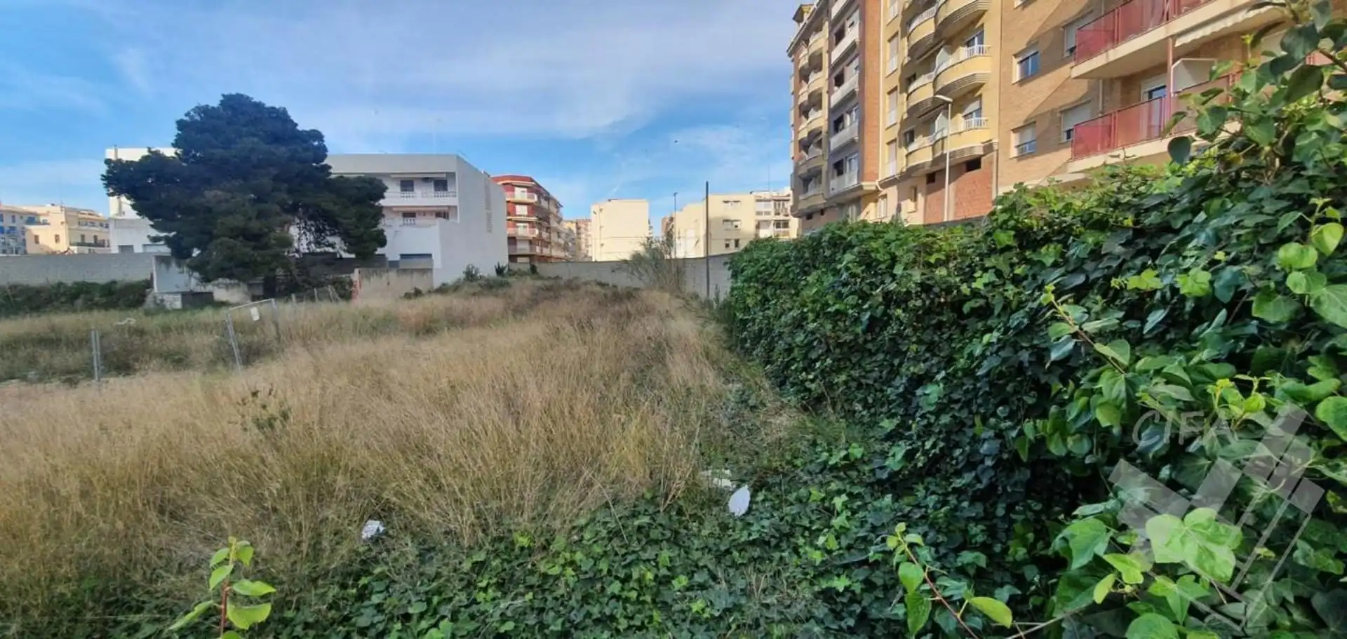 Grundstücke und Bauplätze zum Verkauf in RAIMUNDO ALOS, imagen 5