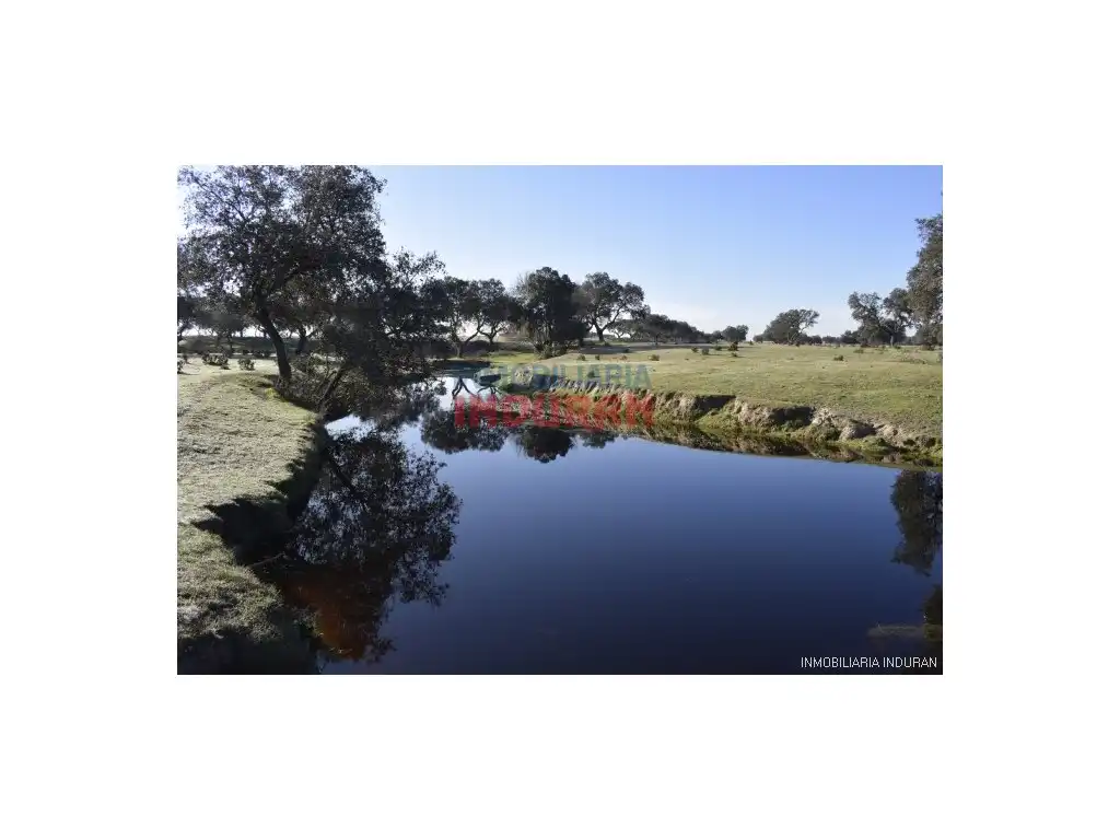 Finca rústica en venta en Las Ventas de San Julián