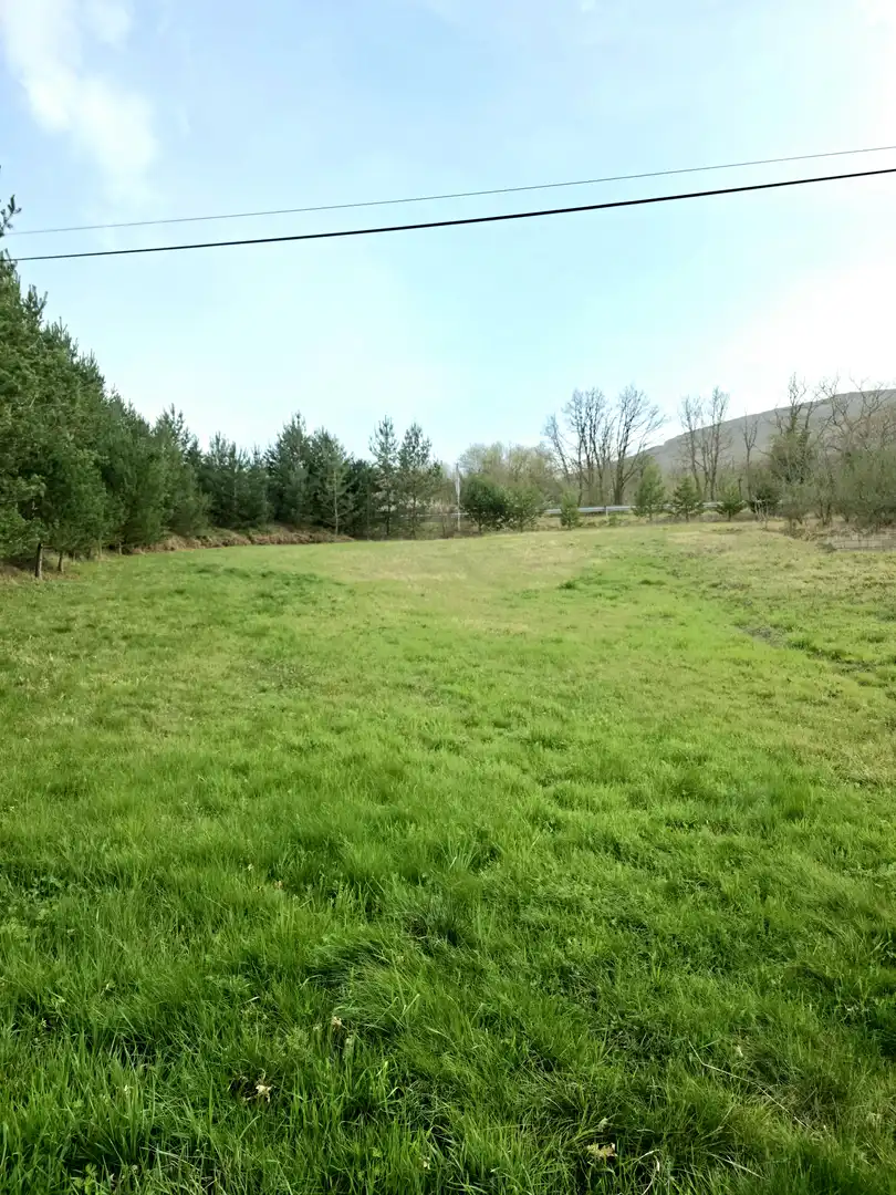 Casa o xalet en venda en Pomar de Valdivia amb Calefacció, Jardí privat i Terrassa