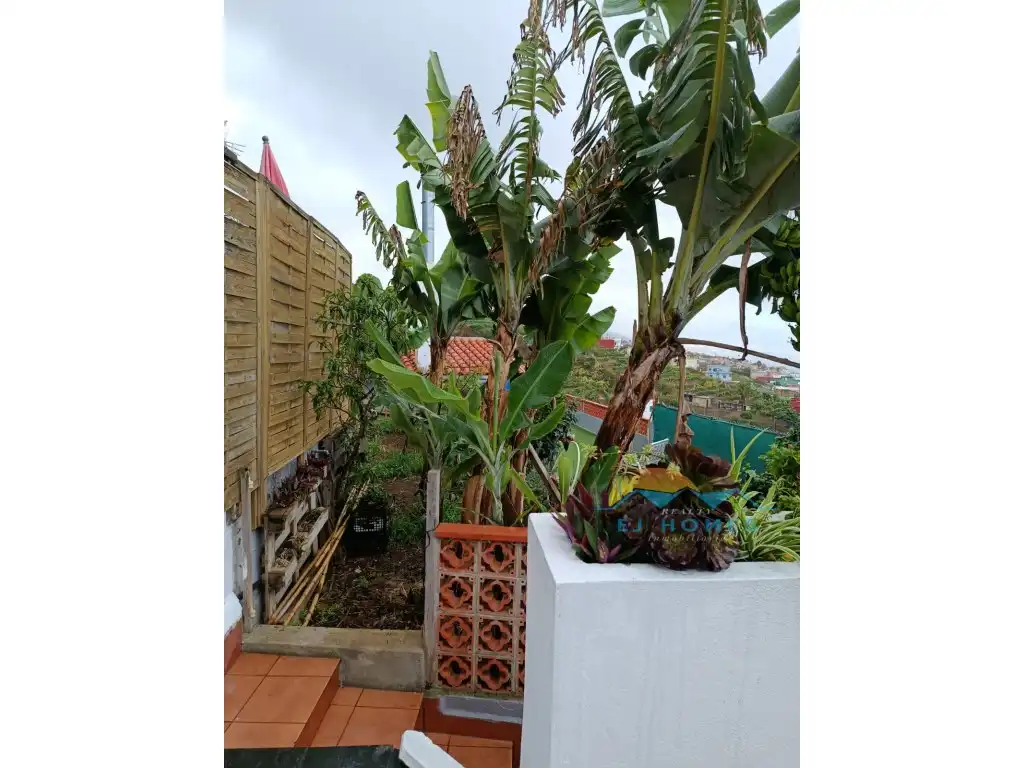 Terrassa de Casa o xalet en venda en El Sauzal