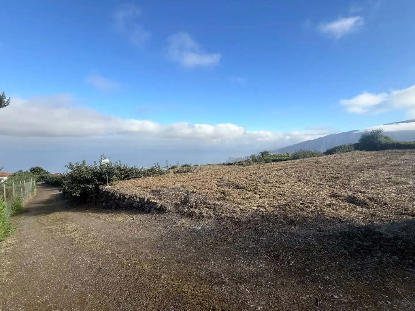 Finca rústica en venda en La Orotava