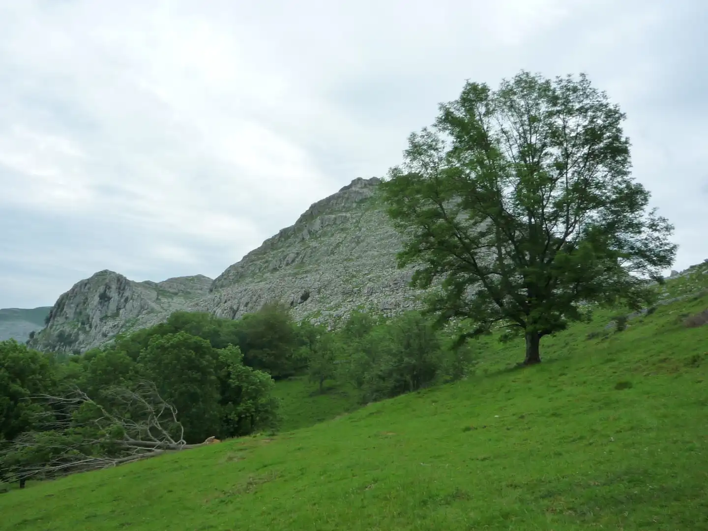 Terreno rustico in vendita a Liérganes, imagen 10