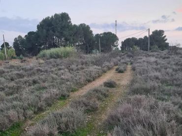 Residential land for sale in B Cerdera Alta, 5