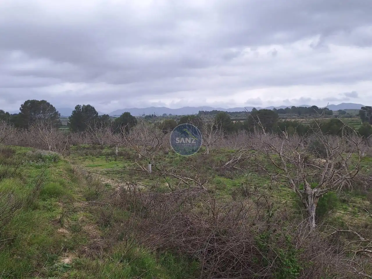 Terreny rústic en venda a Pda Barranc de l´Algar, imagen 6
