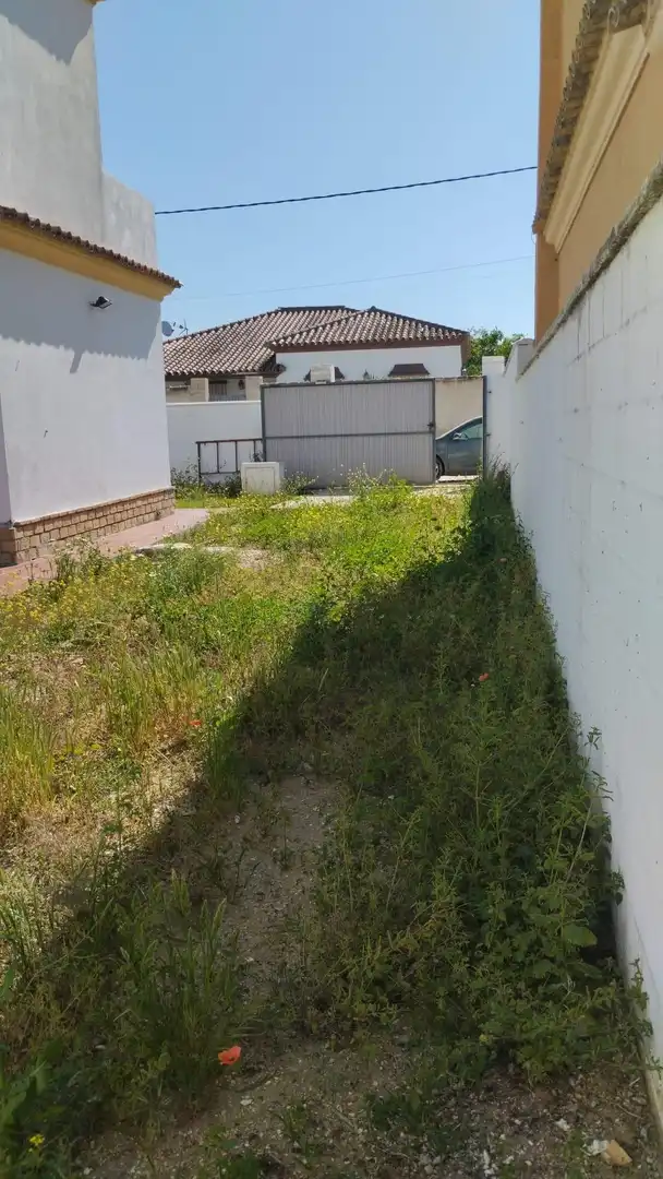 Chalet con jardín en venta en Pelagatos - Pago del Humo, imagen 4