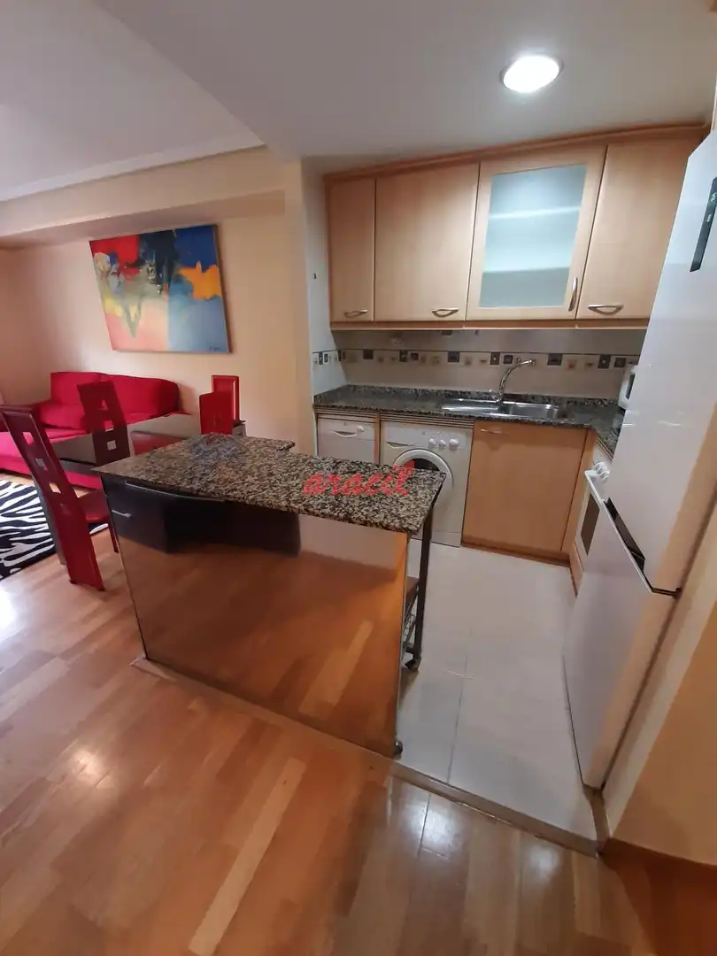 Cocina de Estudio de alquiler en Ourense Capital  con Calefacción y Amueblado