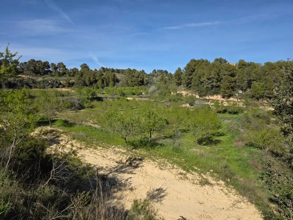 Terreno rustico in vendita a Caseres, imagen 5