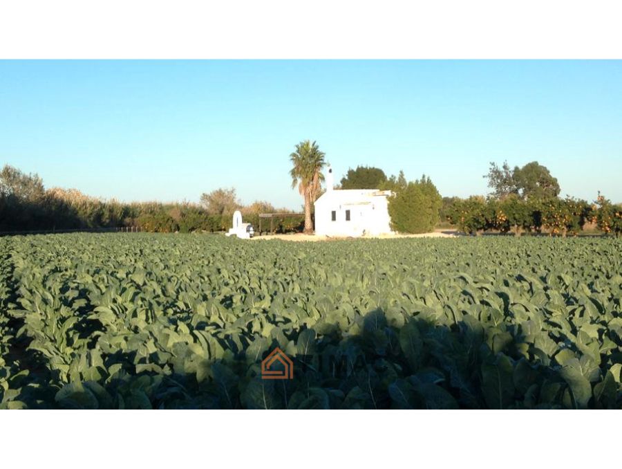 Land for sale in Amposta