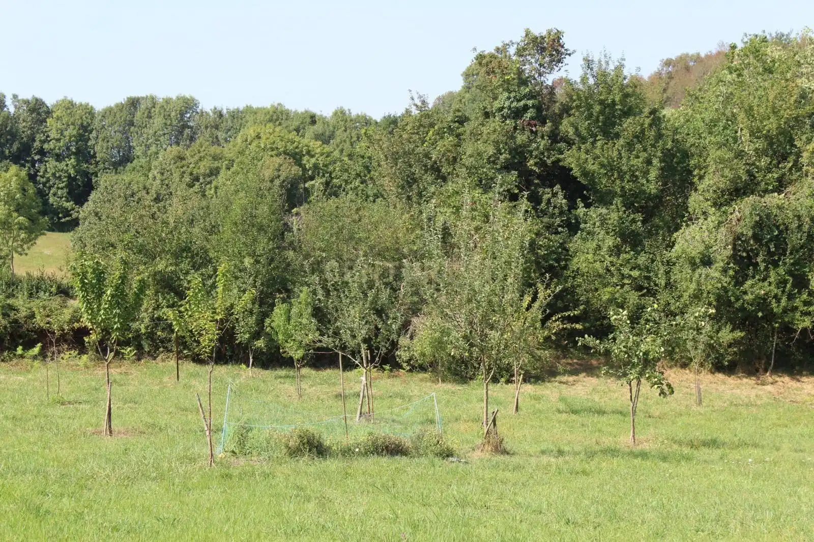 Terreno en venta en Donamaria
