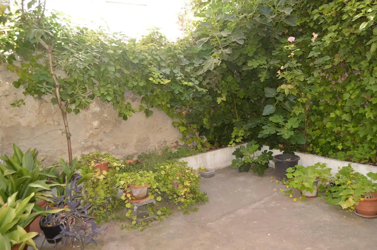 Garden of Houses for sale in Huete  with Furnished