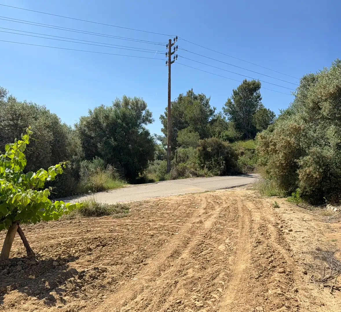 Rustikales Grundstück zum Verkauf in Camí del Cementiri 97, imagen 8