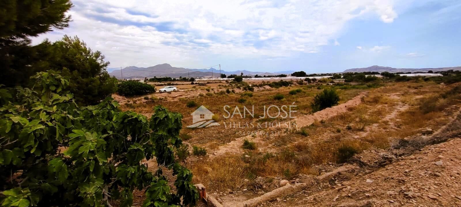 House or chalet for sale in Novelda