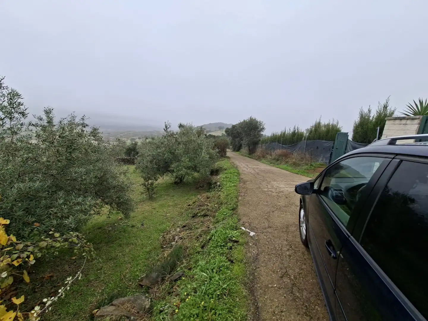 Terreni e lotti in vendita a Malpartida de Plasencia, imagen 10