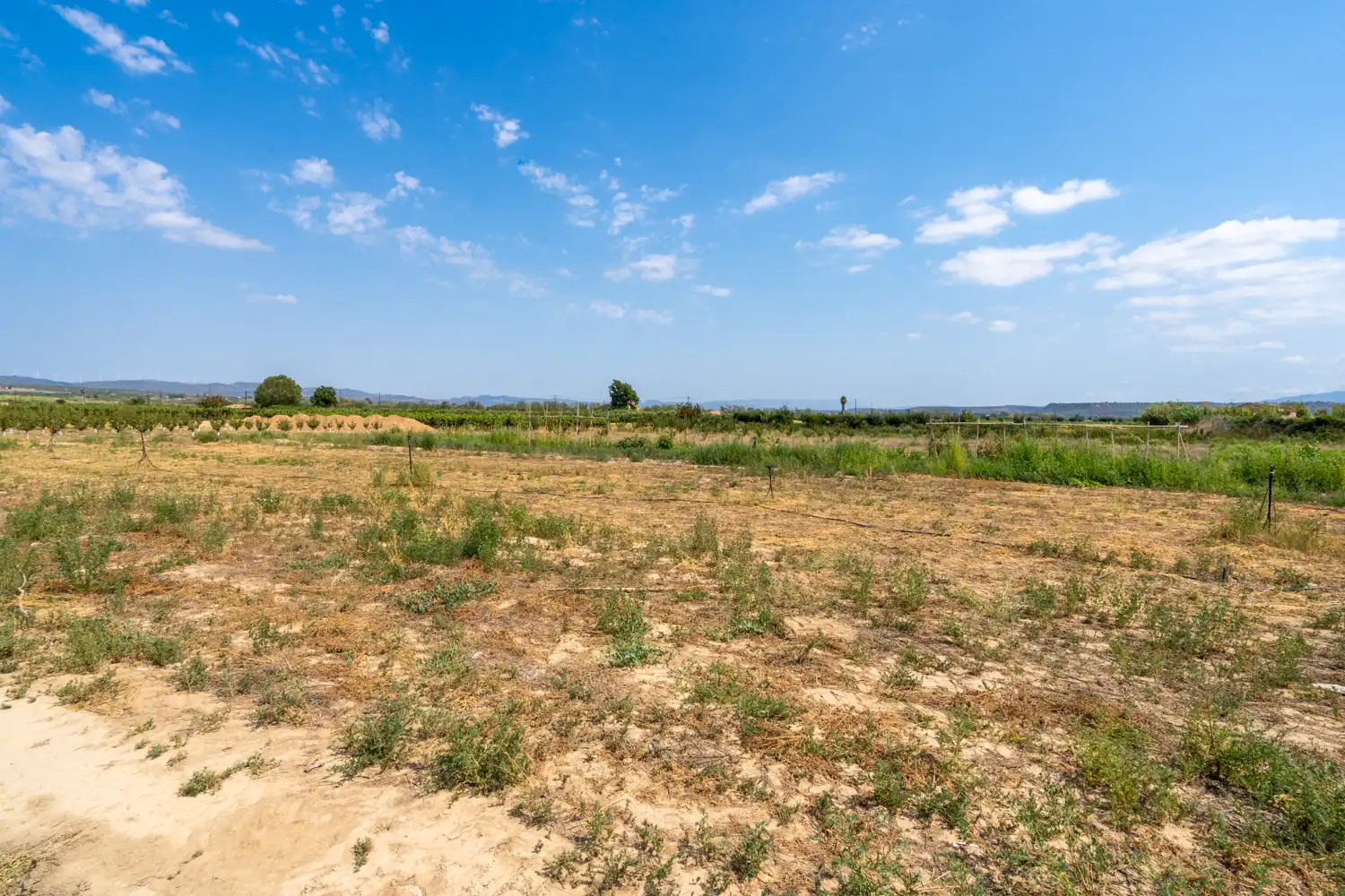 Rural land for sale in Carrer Barca, imagen 2