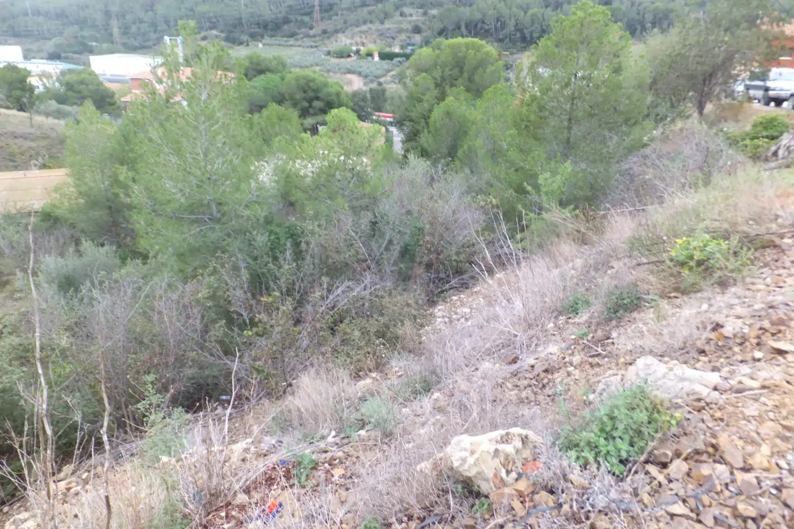 Terreno rustico in vendita a Carrer de Catalunya 23, imagen 9
